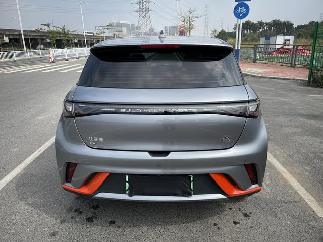 BYD Dolphin 2021 thumb 2