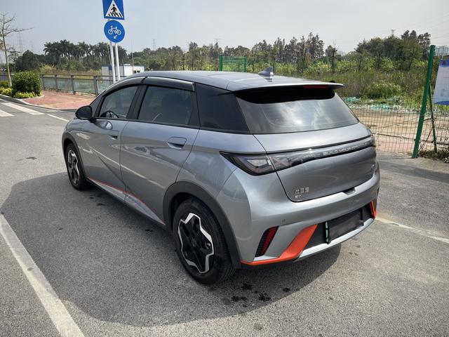 BYD Dolphin 2021 thumb 4