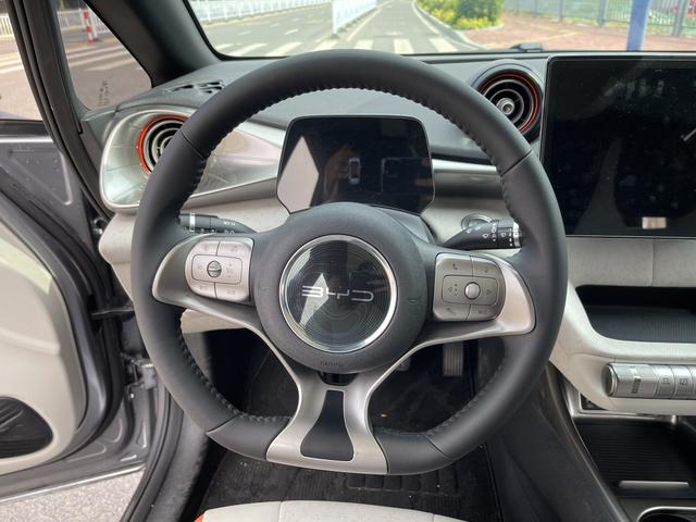 BYD Dolphin 2021 thumb 9