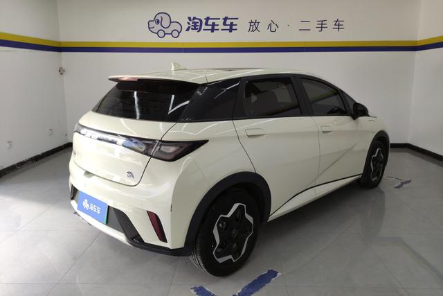 BYD Dolphin 2021 thumb 7