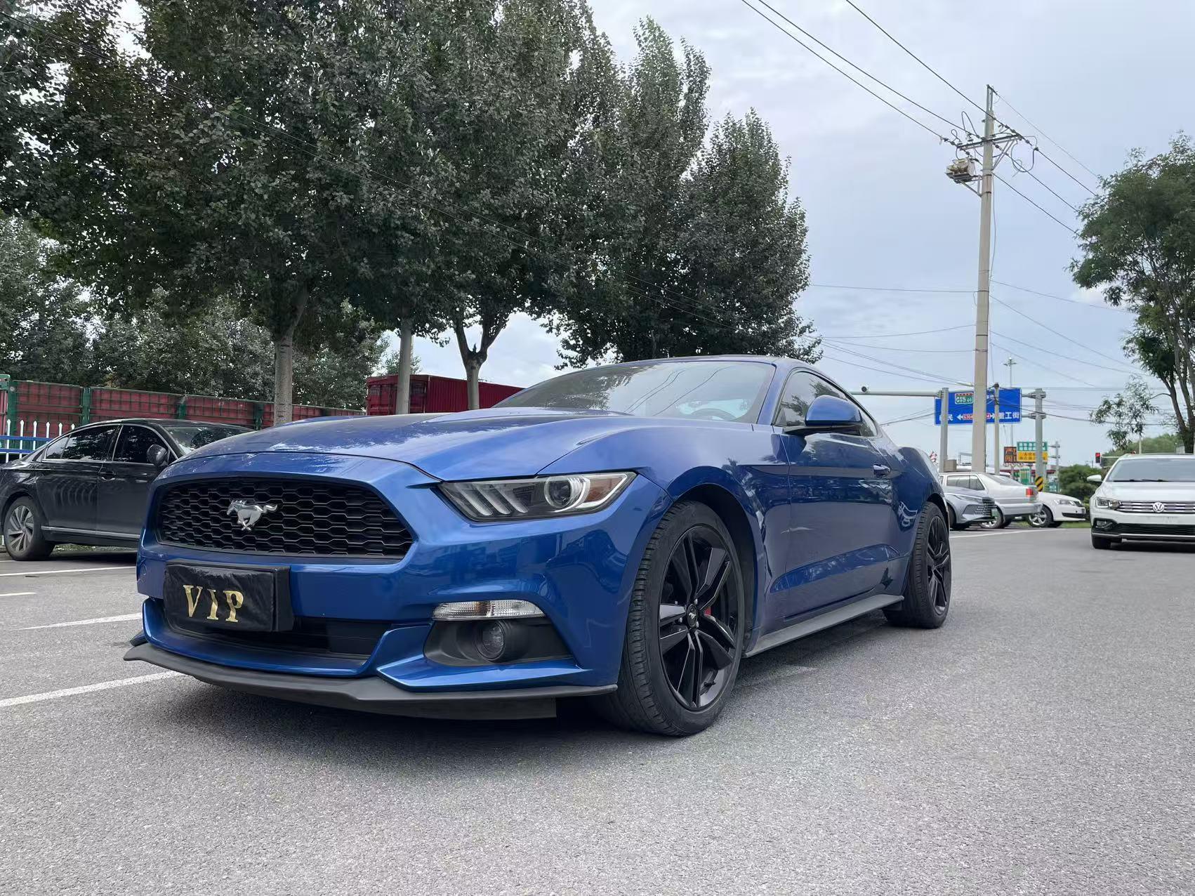 Ford Mach-E 2018 thumb 8