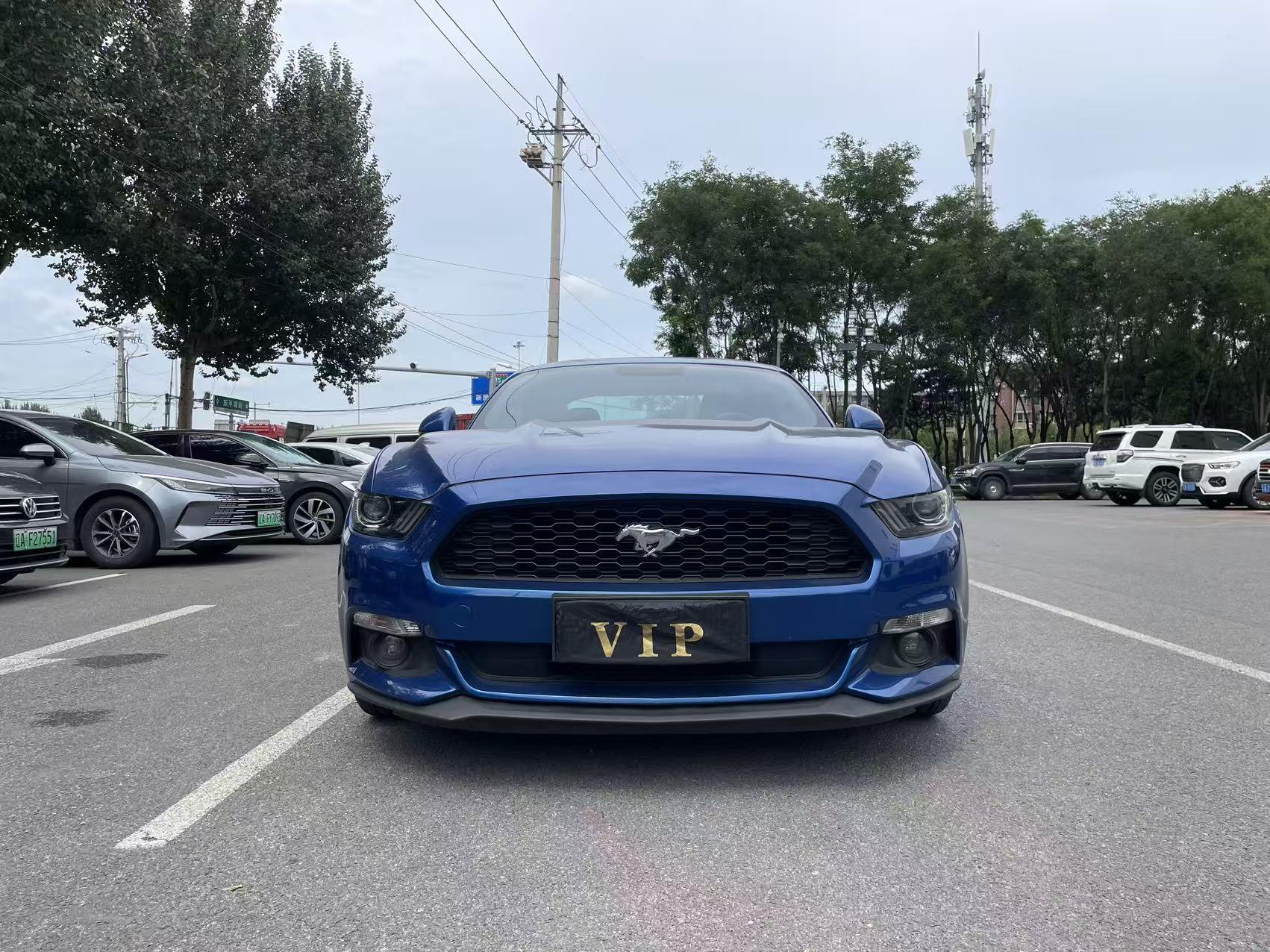 Ford Mach-E 2018 thumb 9