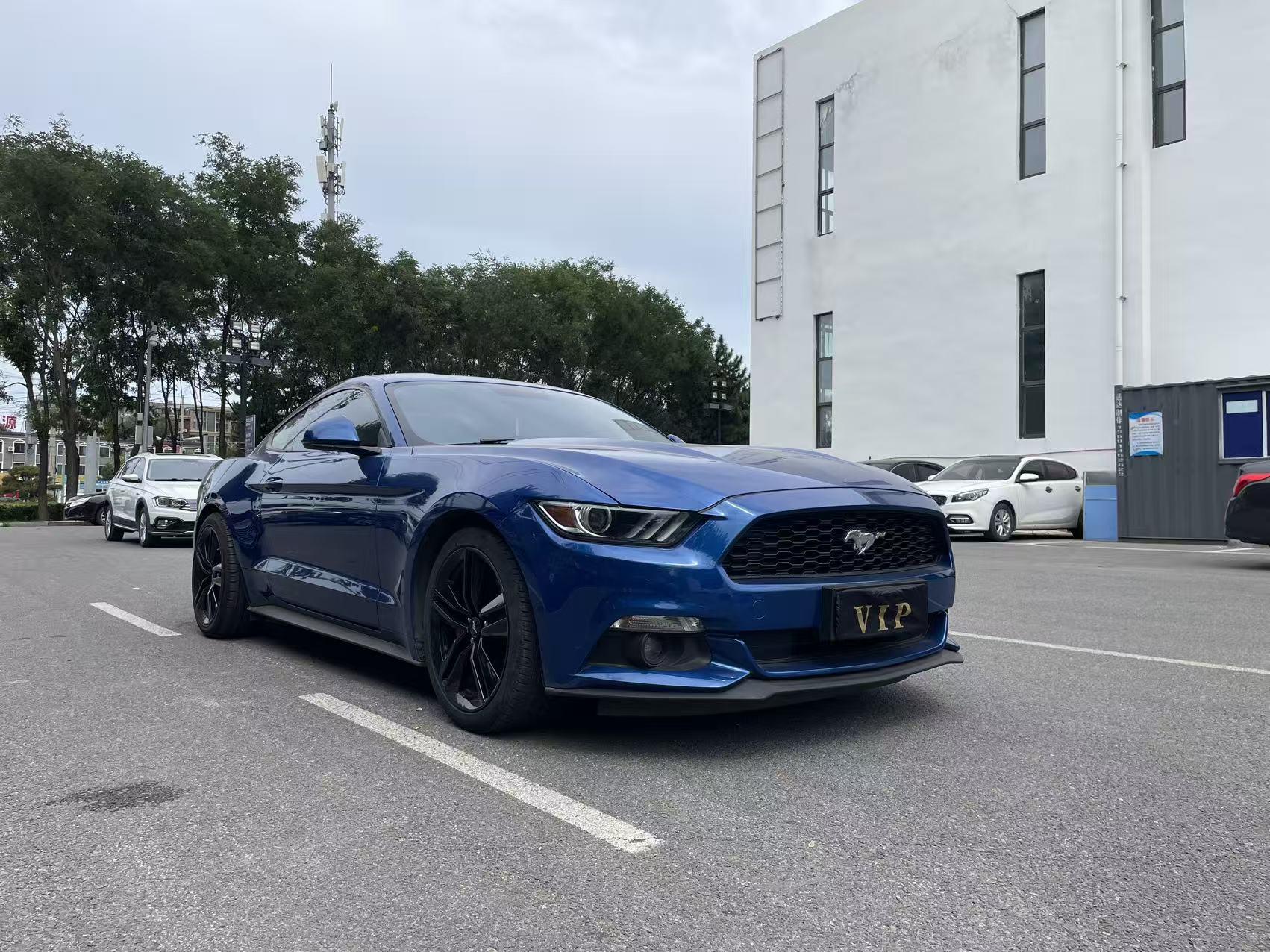 Ford Mach-E 2018 thumb 10