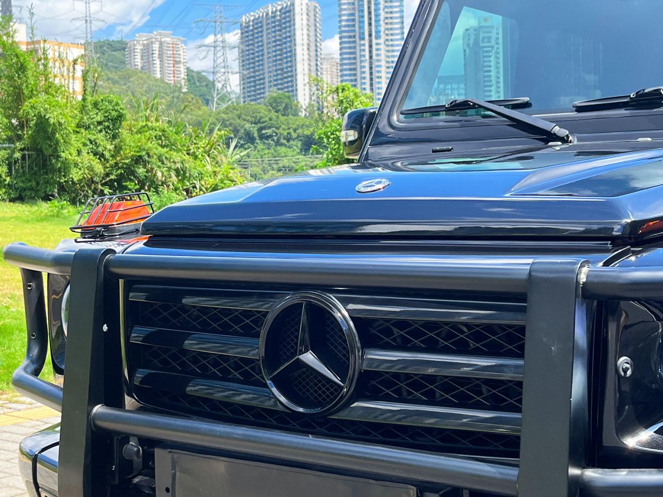 Mercedes-Benz G-Class 2009 thumb 9