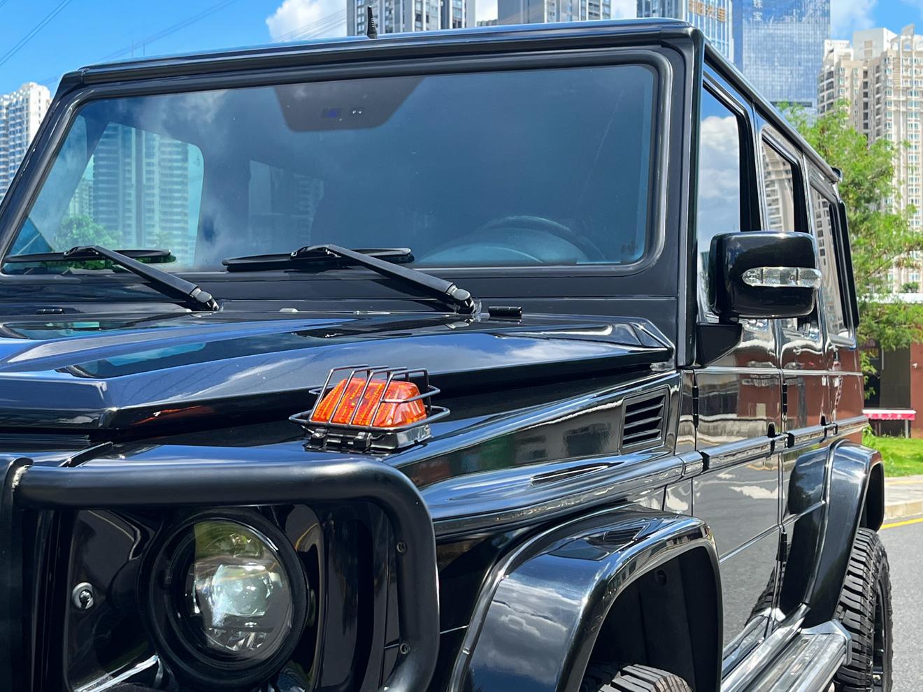 Mercedes-Benz G-Class 2009 thumb 10