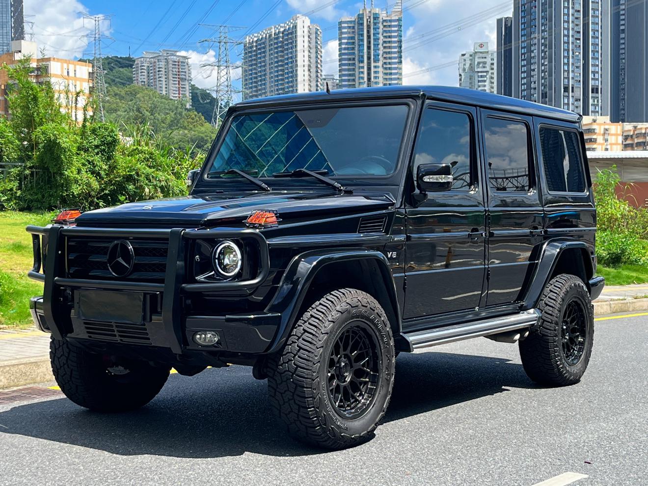 Mercedes-Benz G-Class 2009 thumb 12