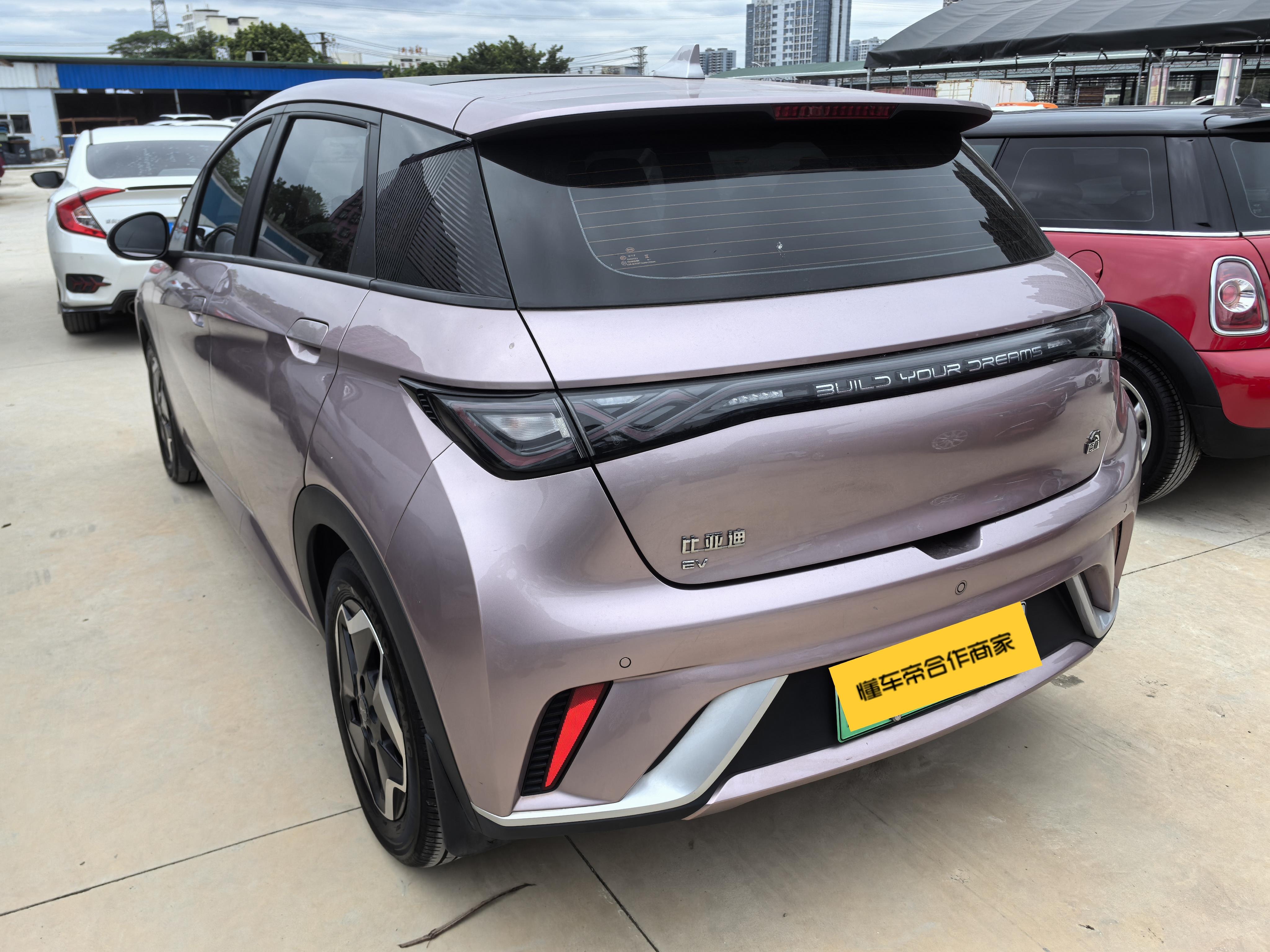 BYD Dolphin 2022 thumb 2