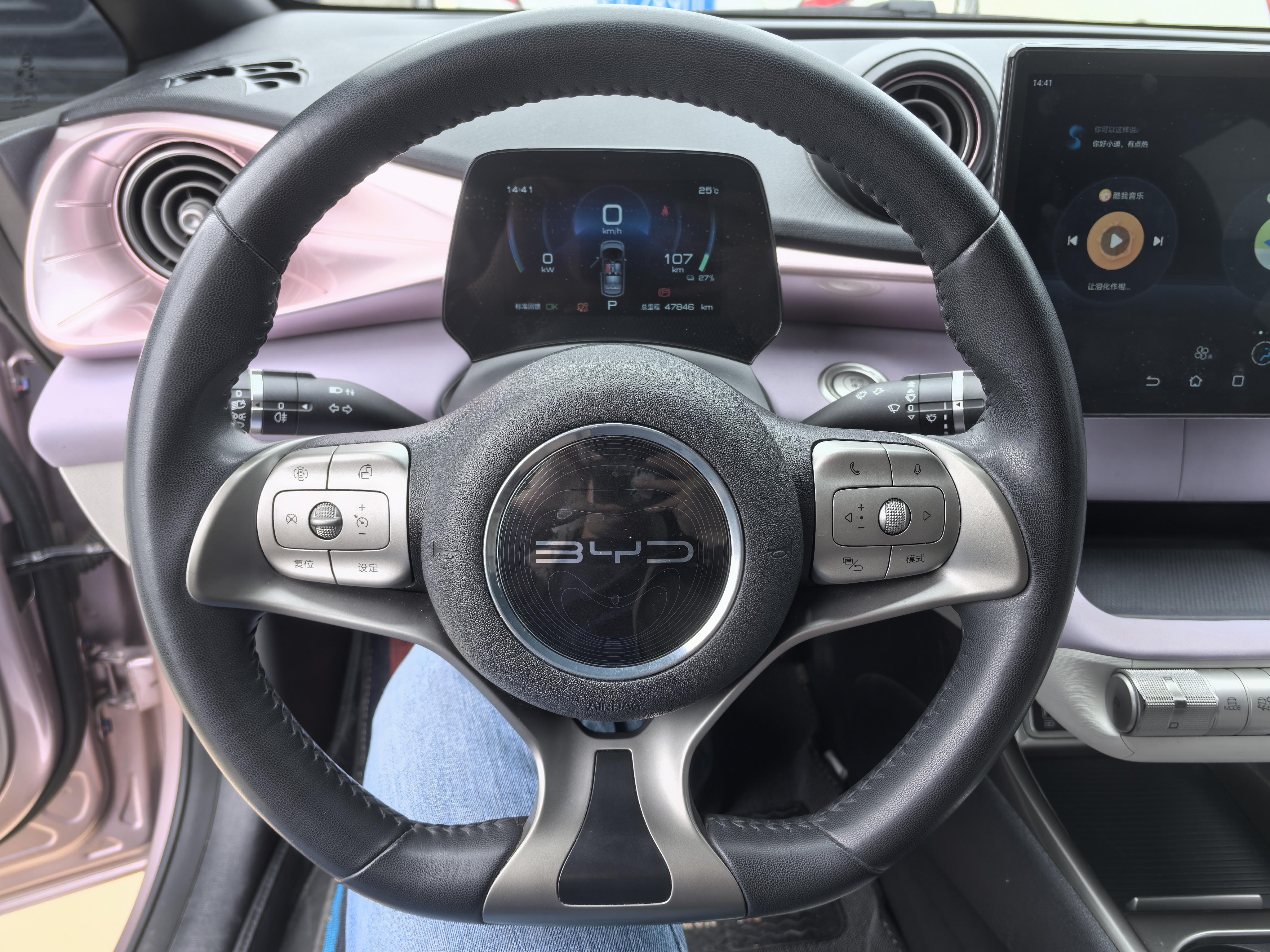 BYD Dolphin 2022 thumb 6