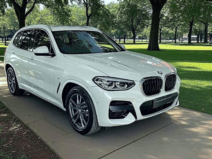 BMW X3 2019 thumb 10