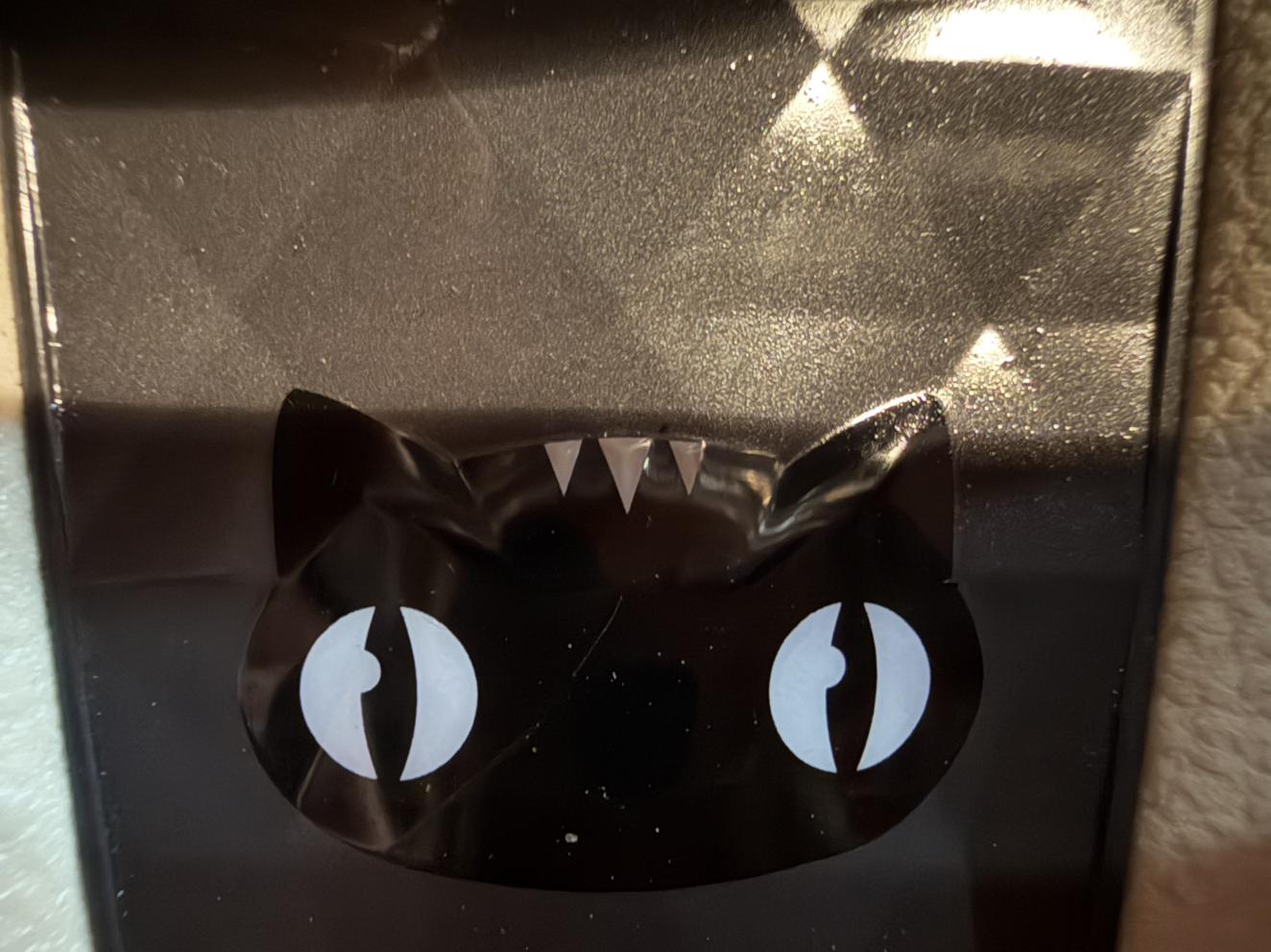 Ora Black Cat 2022 thumb 6