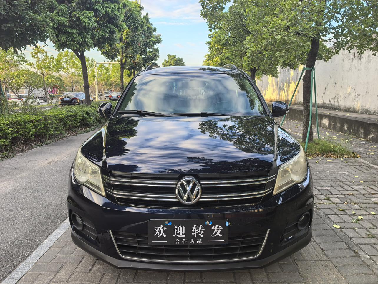 Volkswagen Tiguan 2013 thumb 9