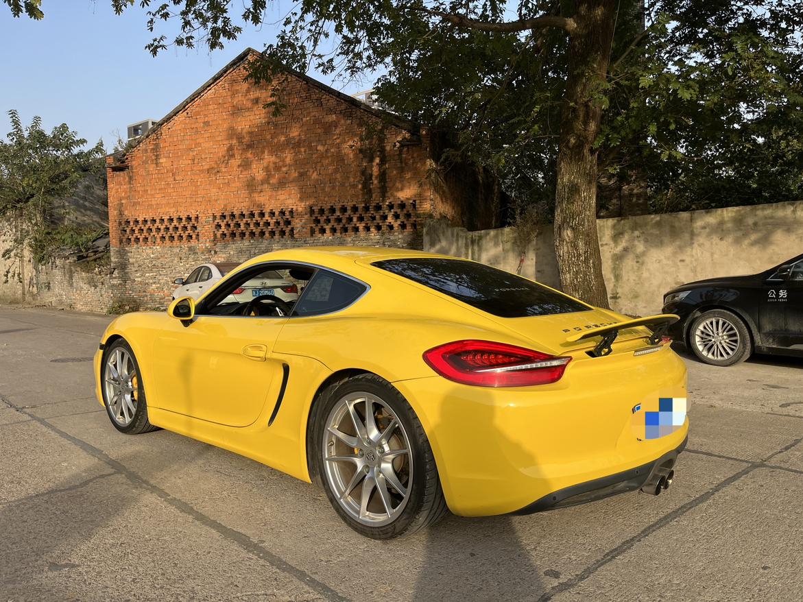 Porsche GT4 2016 thumb 2