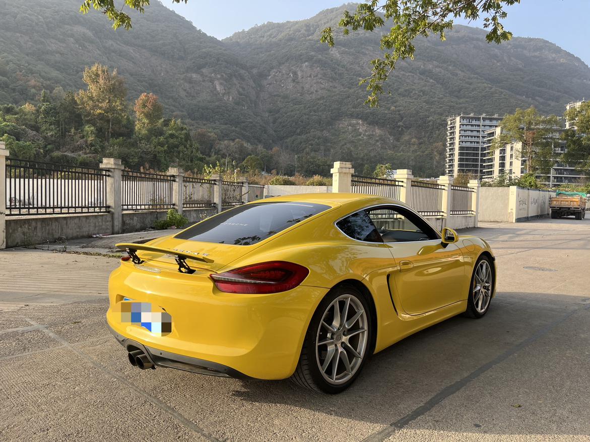 Porsche GT4 2016 thumb 4