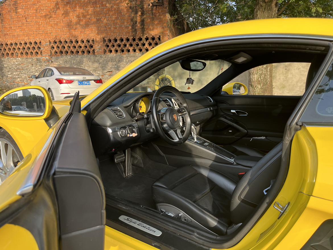 Porsche GT4 2016 thumb 6