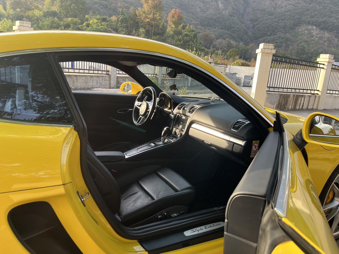 Porsche GT4 2016 thumb 7