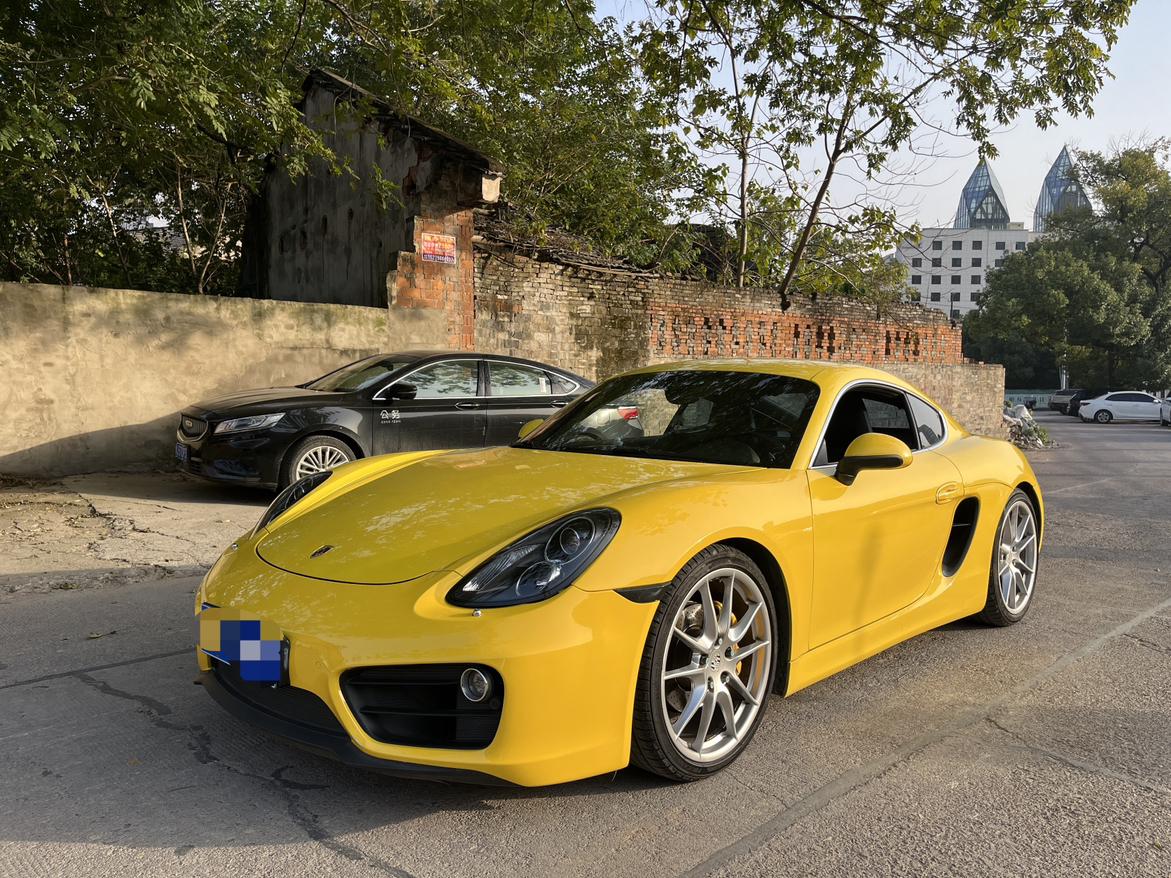 Porsche GT4 2016 thumb 8