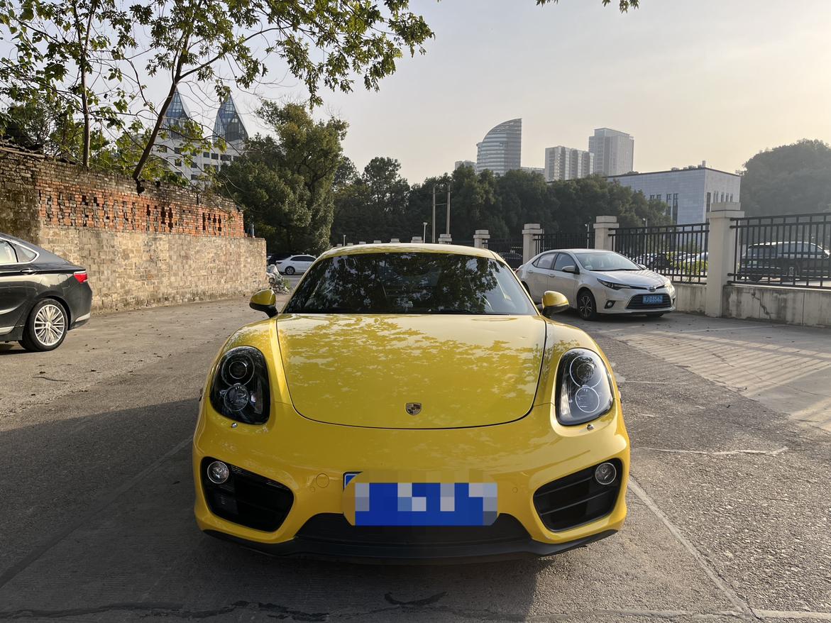 Porsche GT4 2016 thumb 9