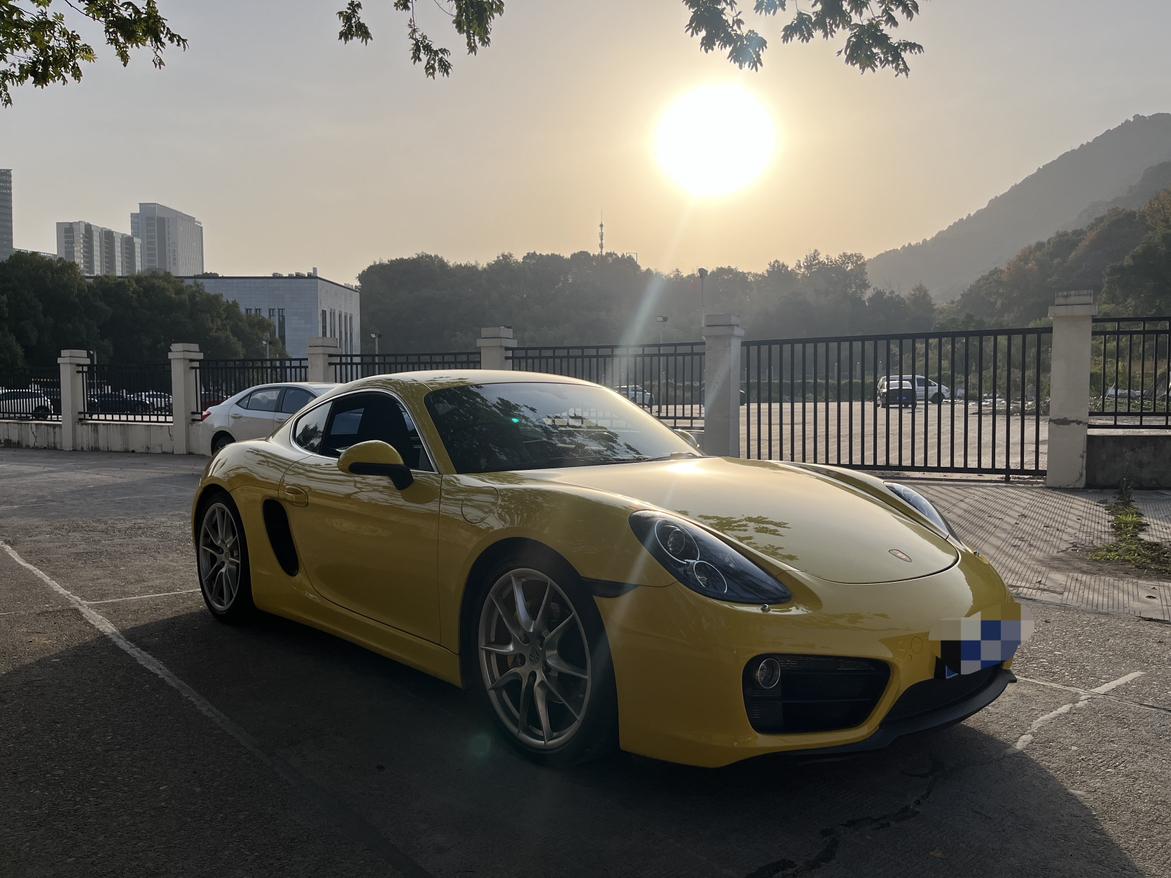 Porsche GT4 2016 thumb 10