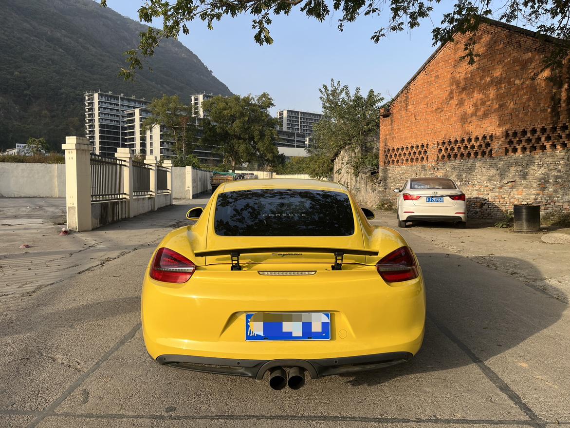 Porsche GT4 2016 thumb 12