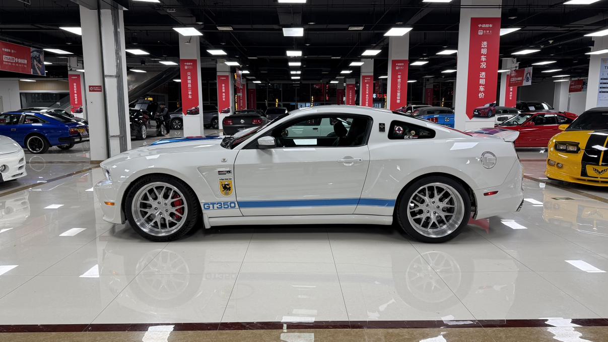 Shelby GTE 2015 thumb 2