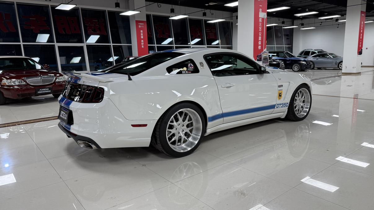 Shelby GTE 2015 thumb 3