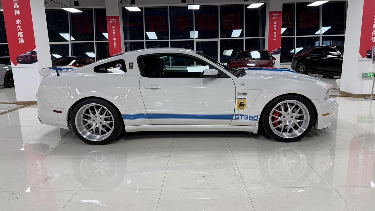 Shelby GTE 2015 thumb 4