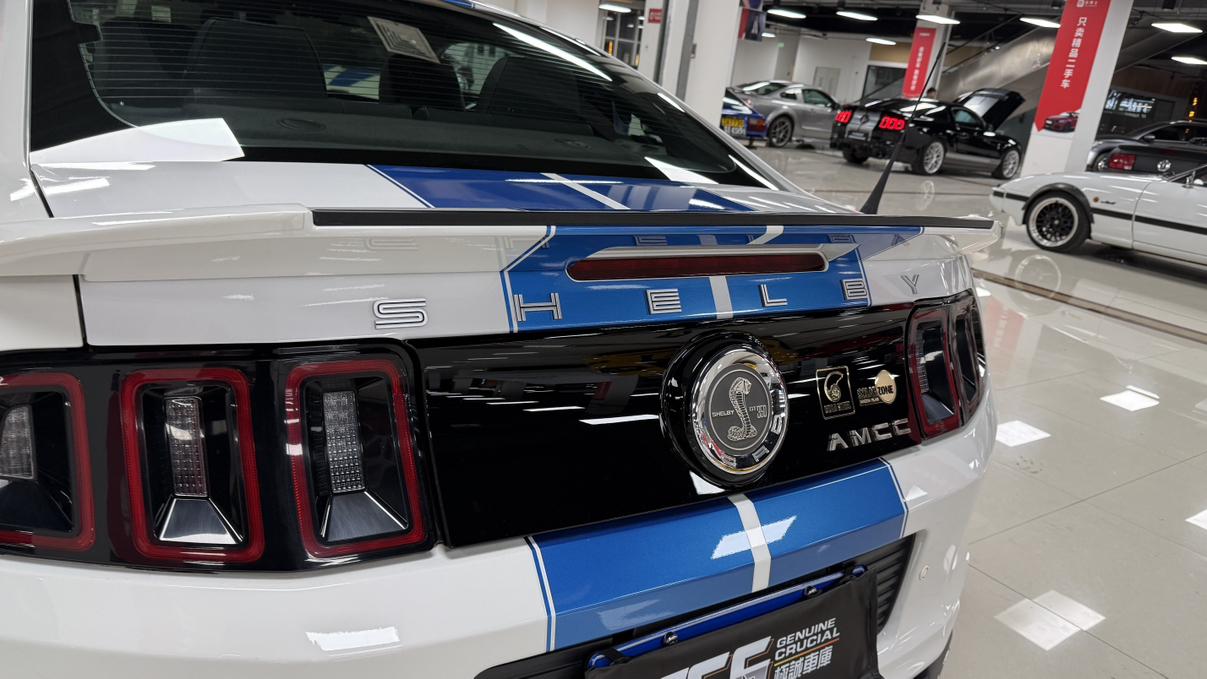 Shelby GTE 2015 thumb 11
