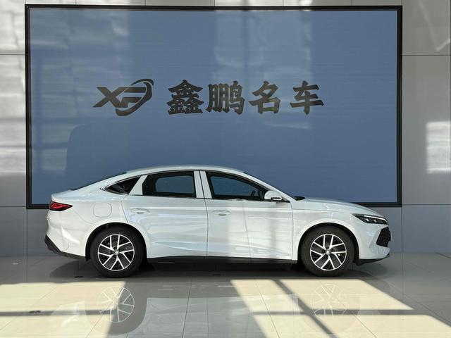 BYD Qin 2024 thumb 2
