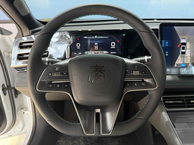 BYD Qin 2024 thumb 6