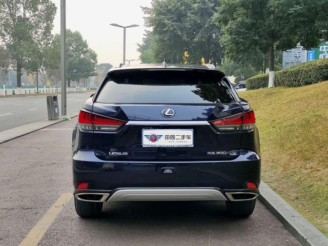 Lexus RX 2020 thumb 2