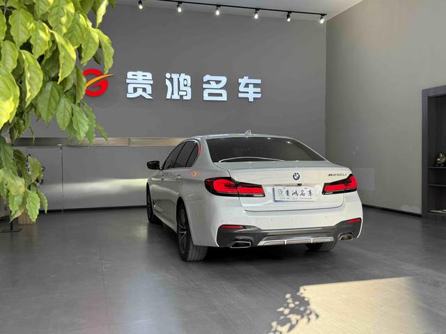 BMW 5 серии 2023 thumb 8