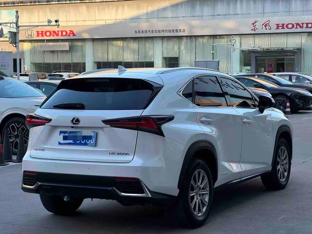 Lexus NX 2020 thumb 5