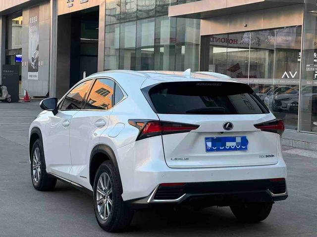 Lexus NX 2020 thumb 6