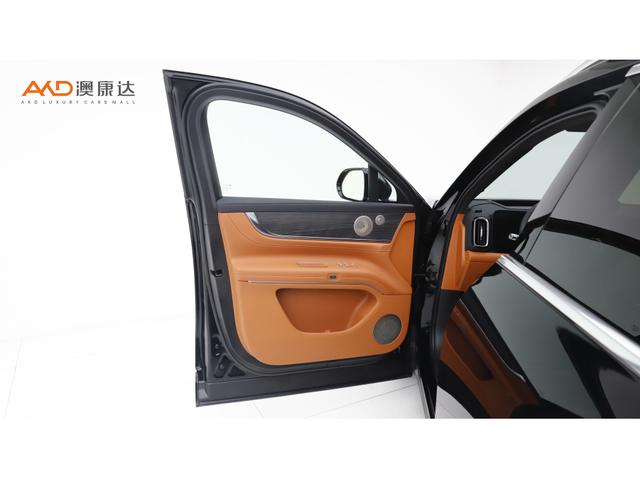AITO (Wenjie) M9 2024 thumb 8