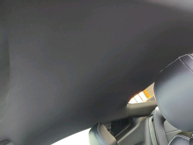 Ford Mach-E 2019 thumb 11