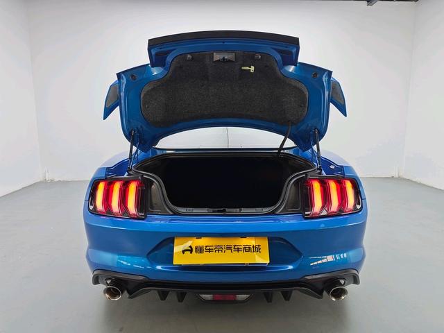 Ford Mach-E 2019 thumb 12