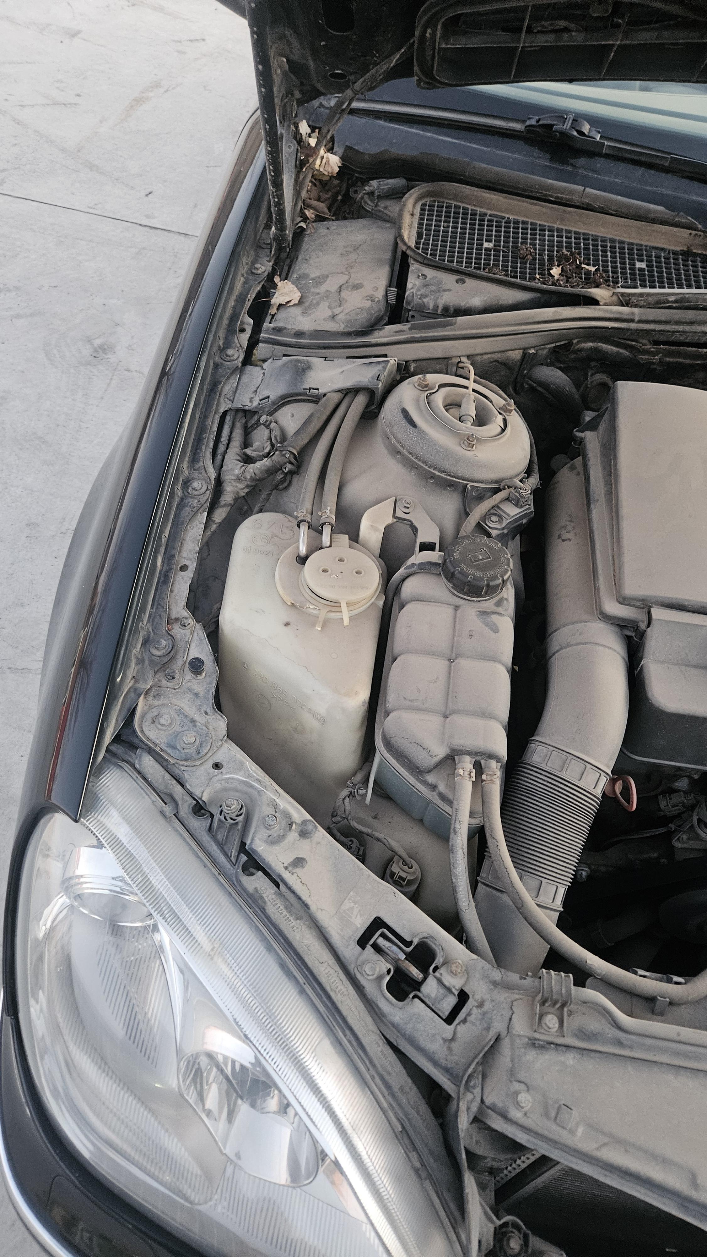 Mercedes-Benz S-Class 2003 thumb 5