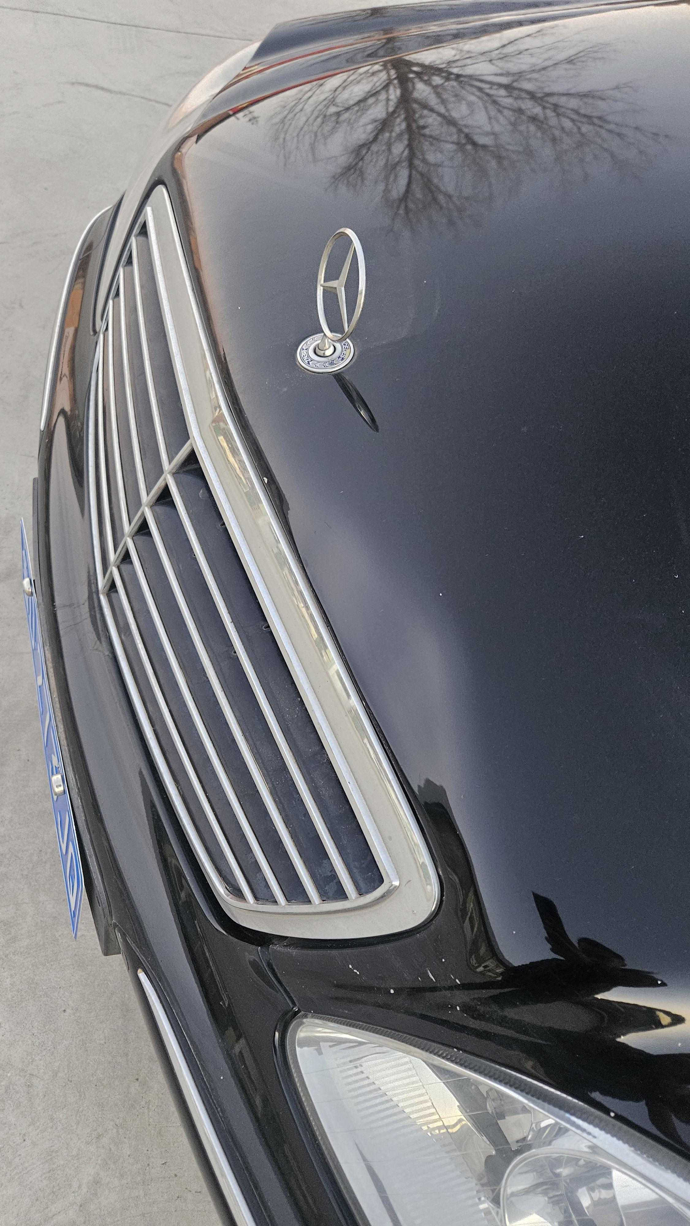Mercedes-Benz S-Class 2003 thumb 8