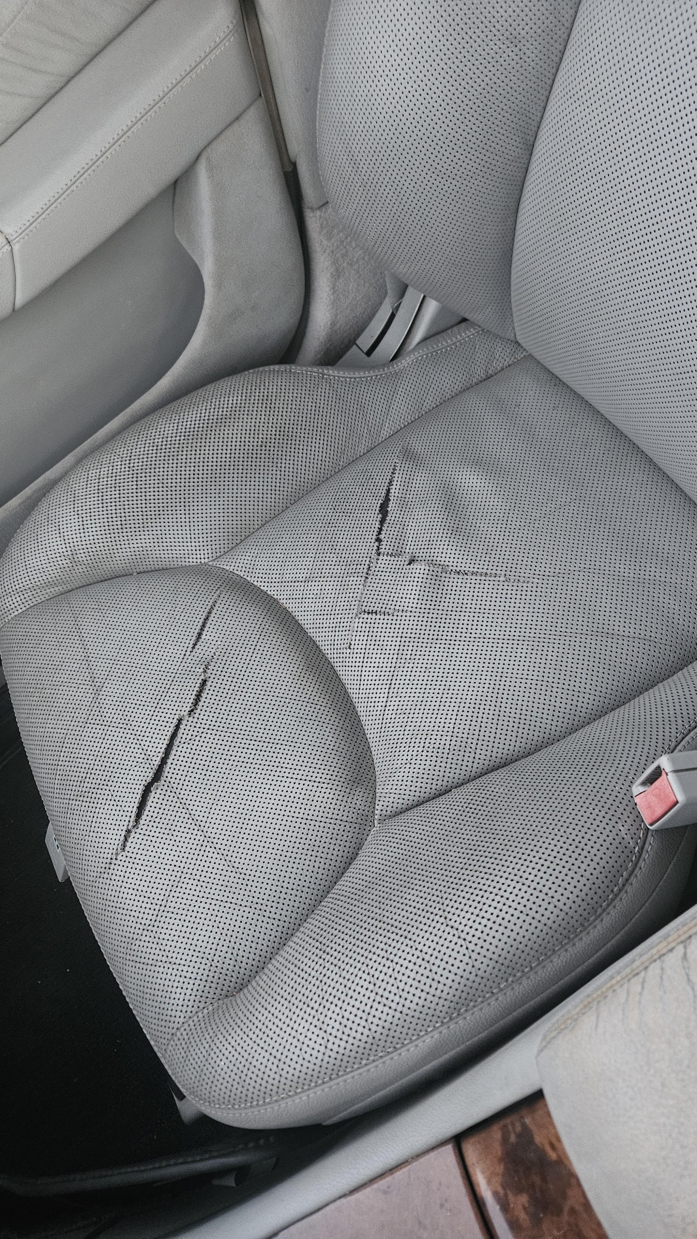 Mercedes-Benz S-Class 2003 thumb 11
