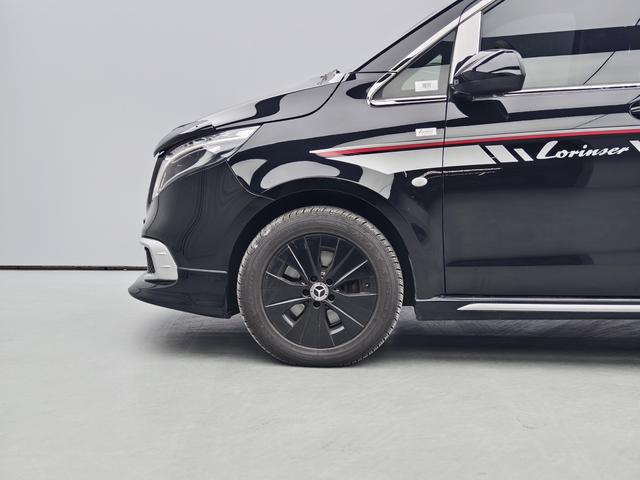Dongfeng Fengxing 艾奈斯威霆 2023 thumb 3