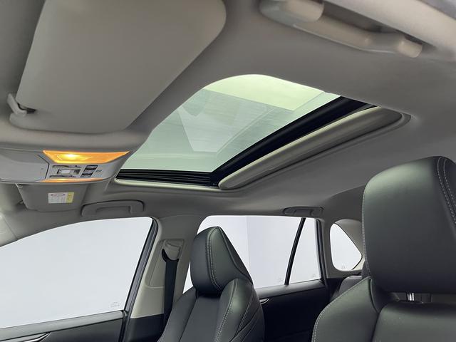 Toyota Wildlander 2020 thumb 11