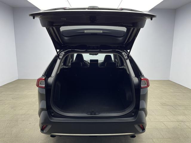 Toyota Wildlander 2020 thumb 12