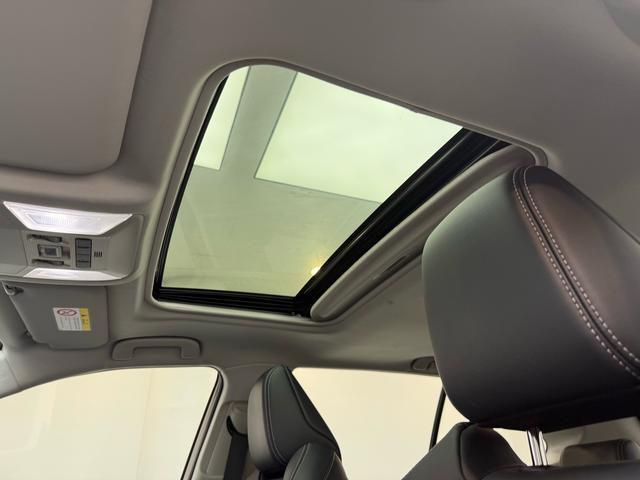 Toyota Wildlander 2023 thumb 11