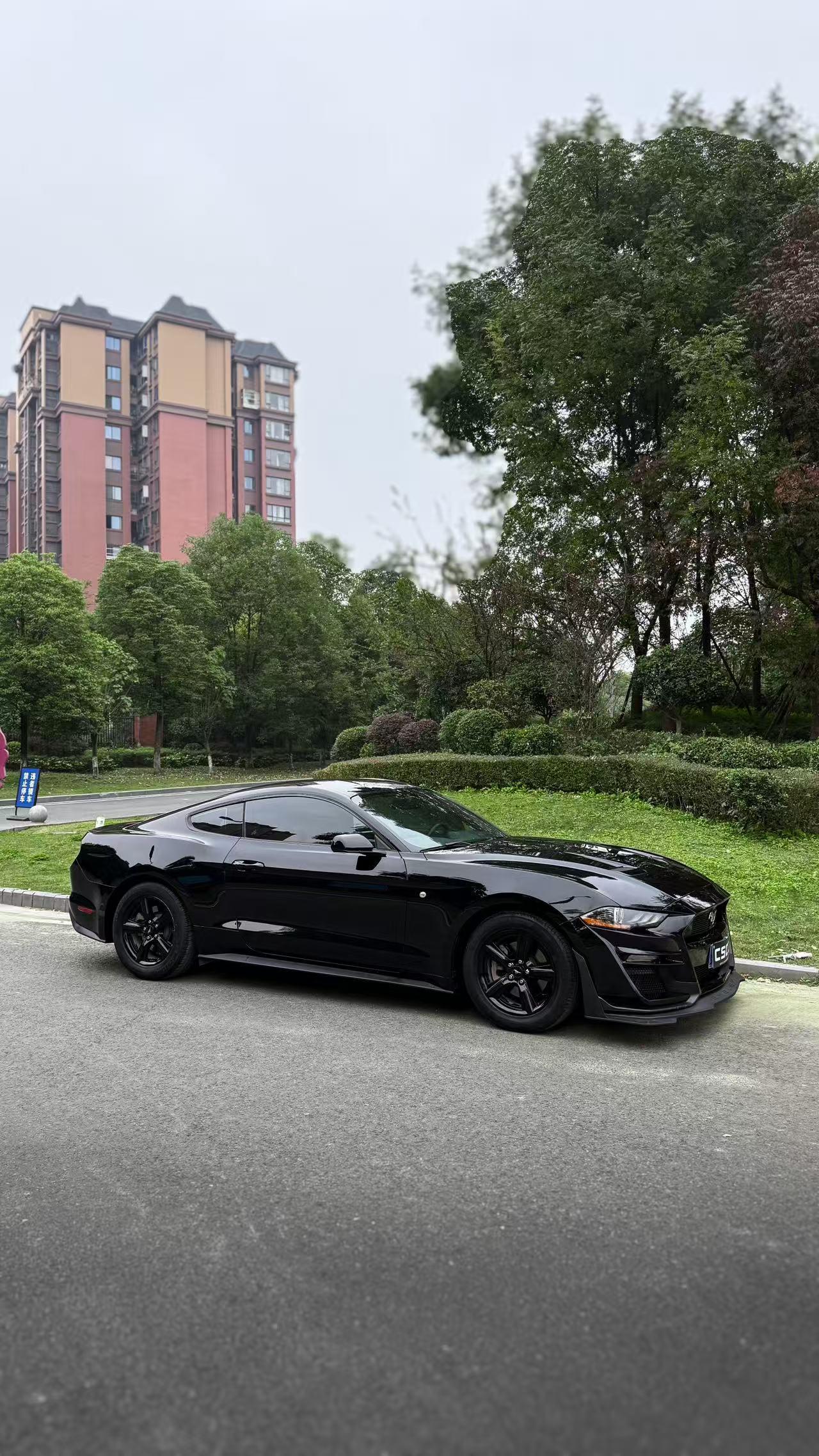 Ford Mach-E 2018 thumb 3