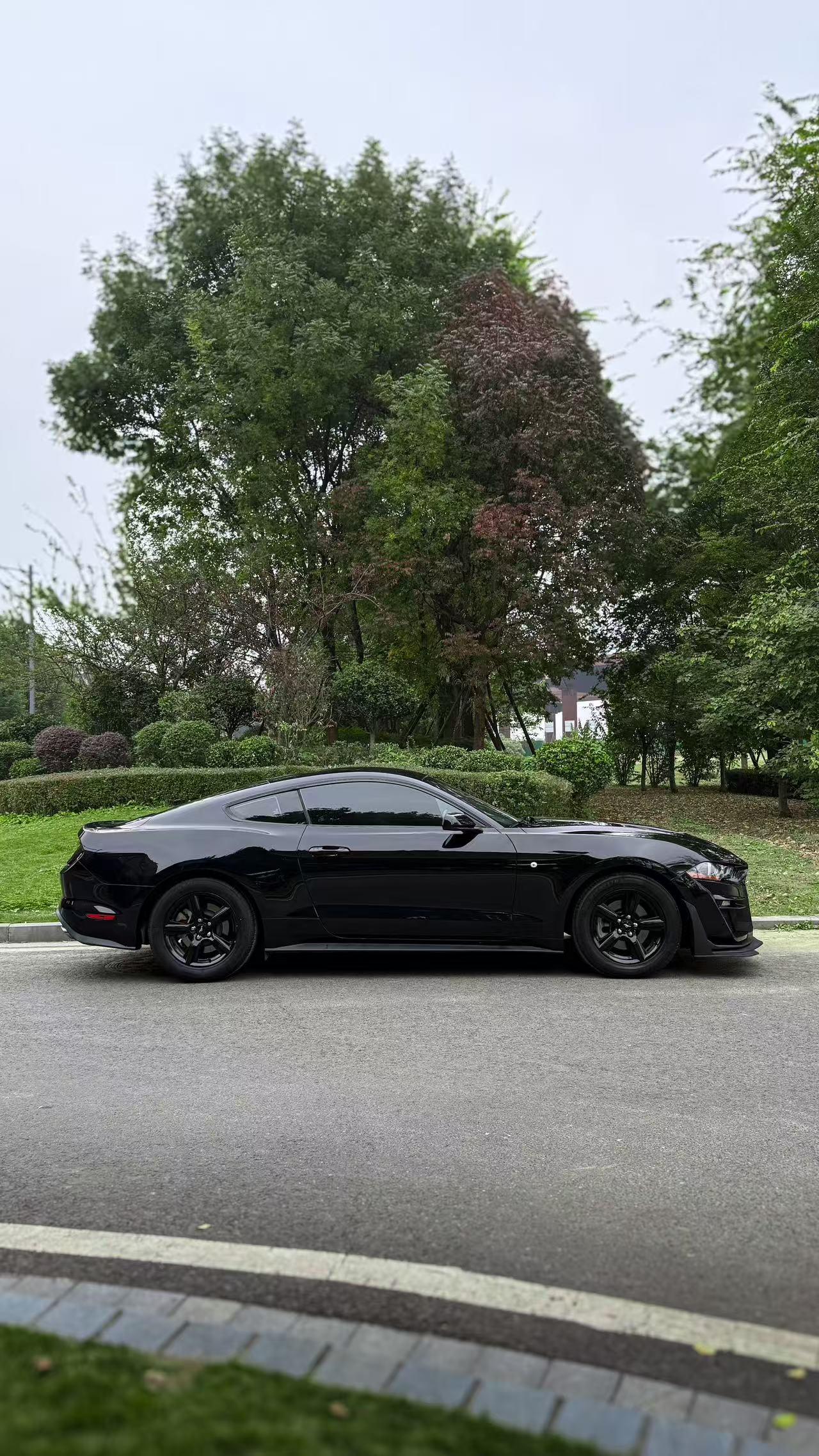 Ford Mach-E 2018 thumb 4
