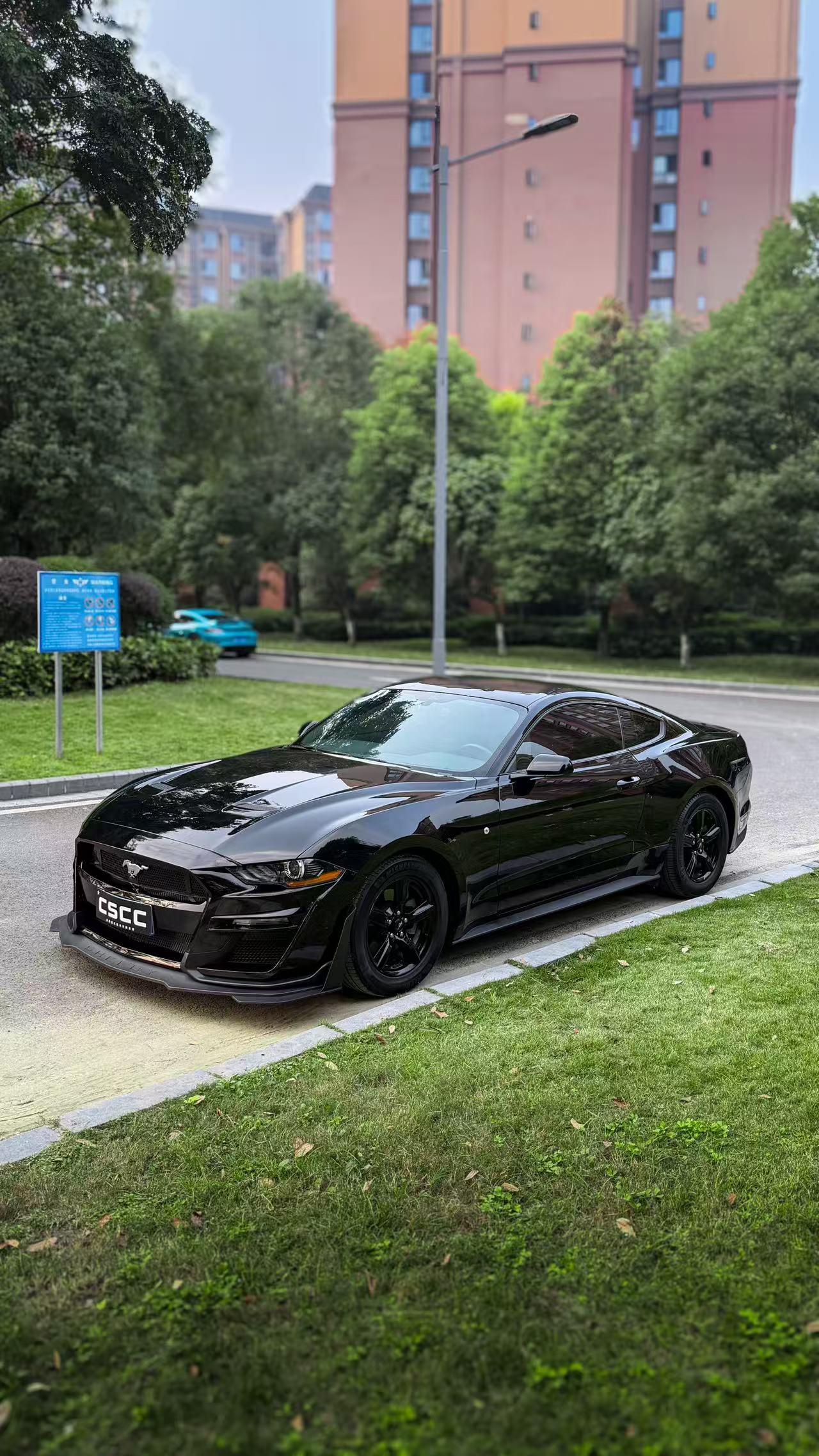 Ford Mach-E 2018 thumb 6