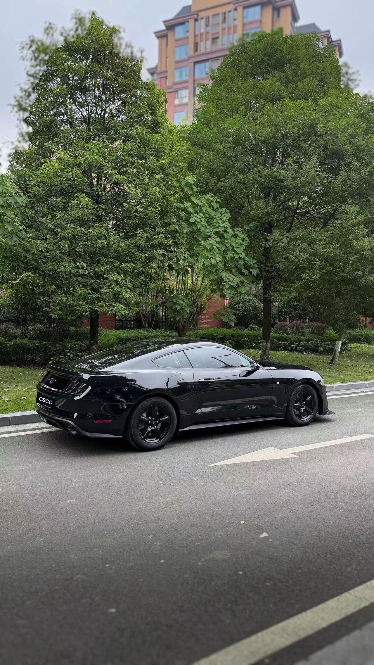 Ford Mach-E 2018 thumb 9