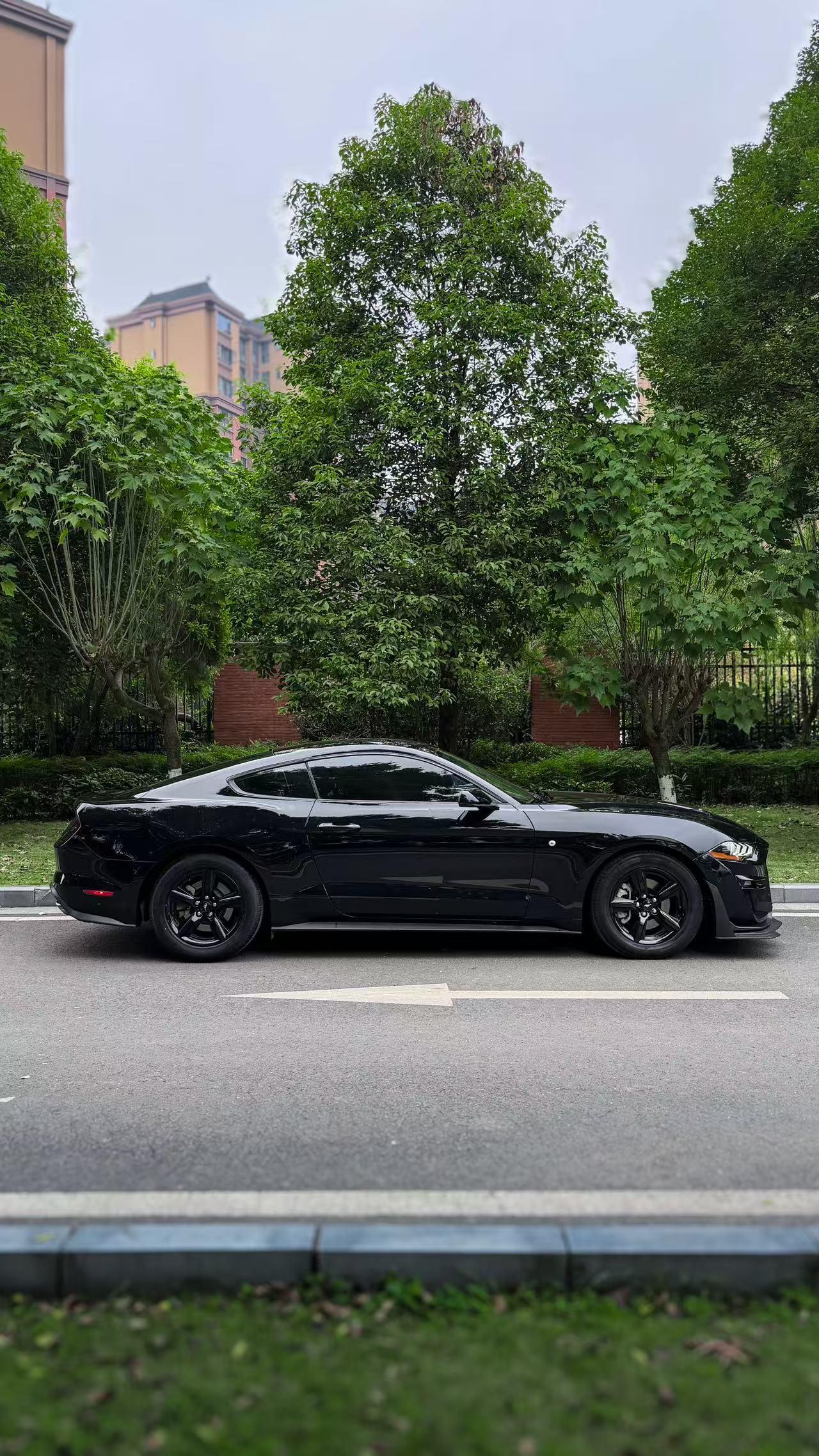 Ford Mach-E 2018 thumb 11