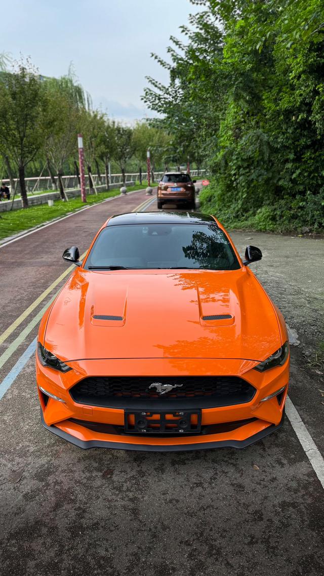 Ford Mach-E 2020 thumb 2
