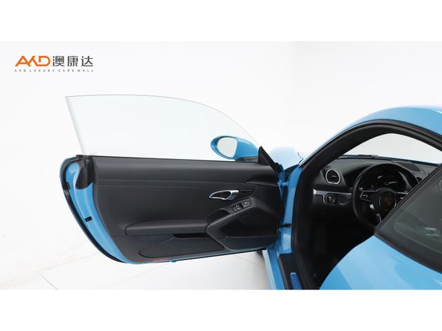 Porsche GT4 2019 thumb 8
